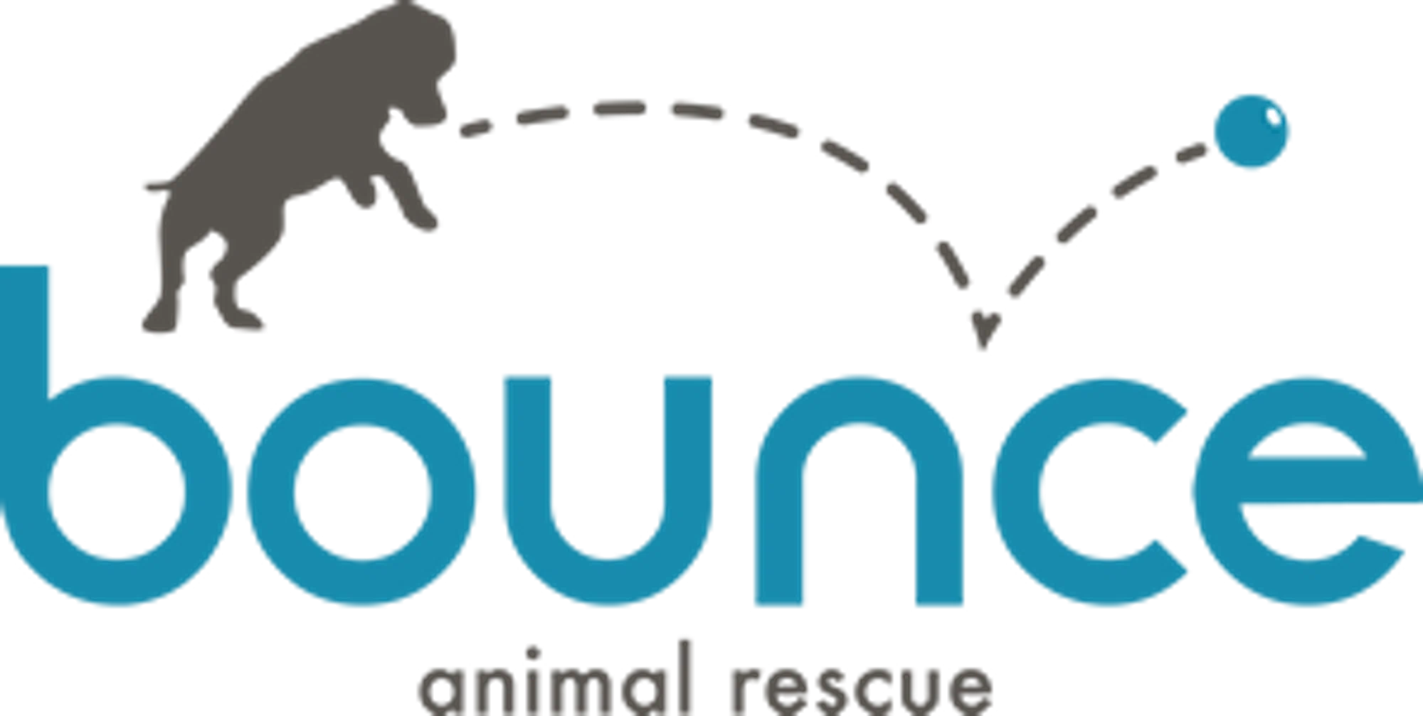 Bounce Animal Rescue