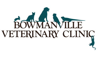 Bowmanville Veterinary Clinic