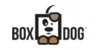 Box Dog