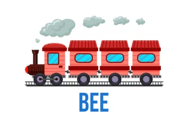 Boyd Education Express
