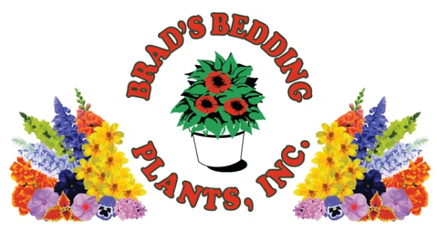 Brad's Bedding