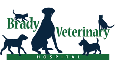 Brady Veterinary Hospital