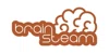 Brainsteam Education
