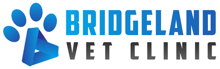 Bridgeland Vet Clinic
