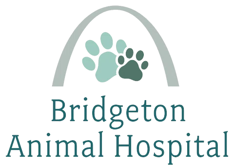 Bridgeton Animal Hospital
