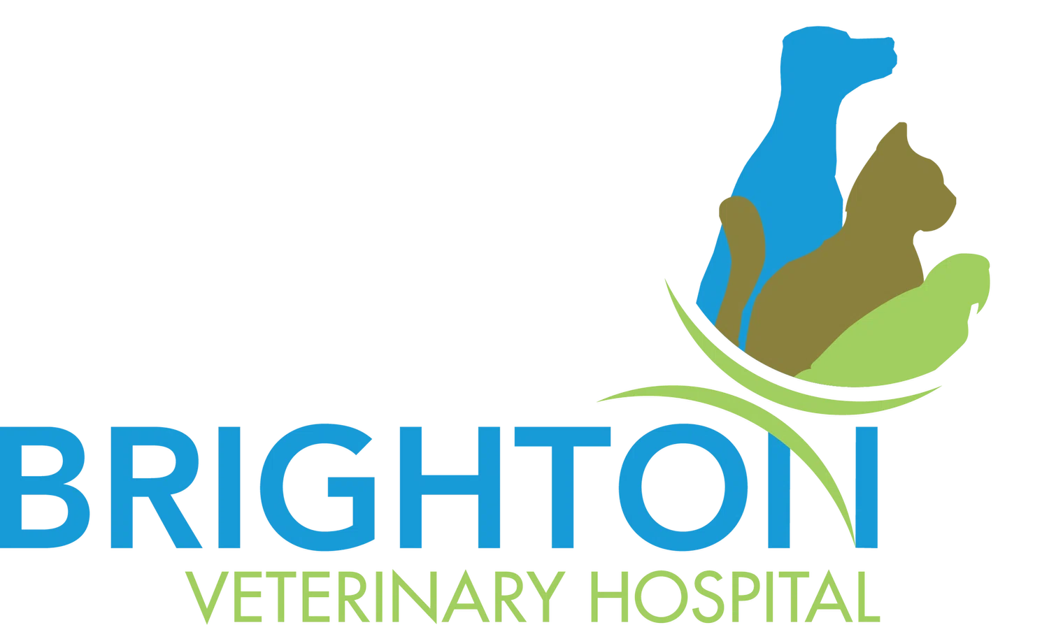 Brighton Veterinary Hospital