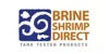 Brine Shrimp Direct
