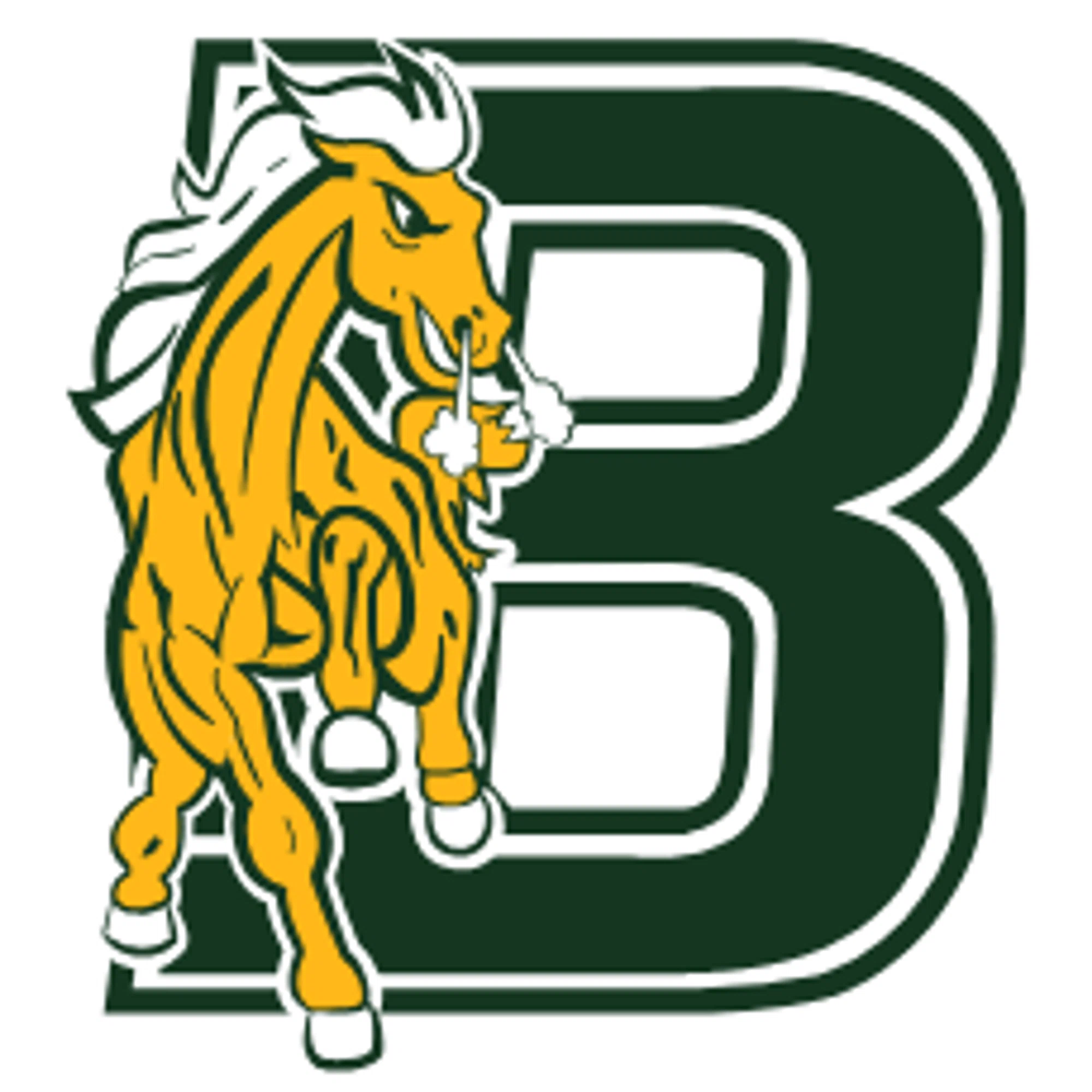 Bronx Community College Broncos