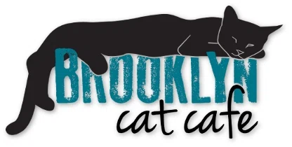 Brooklyn Cat Cafe