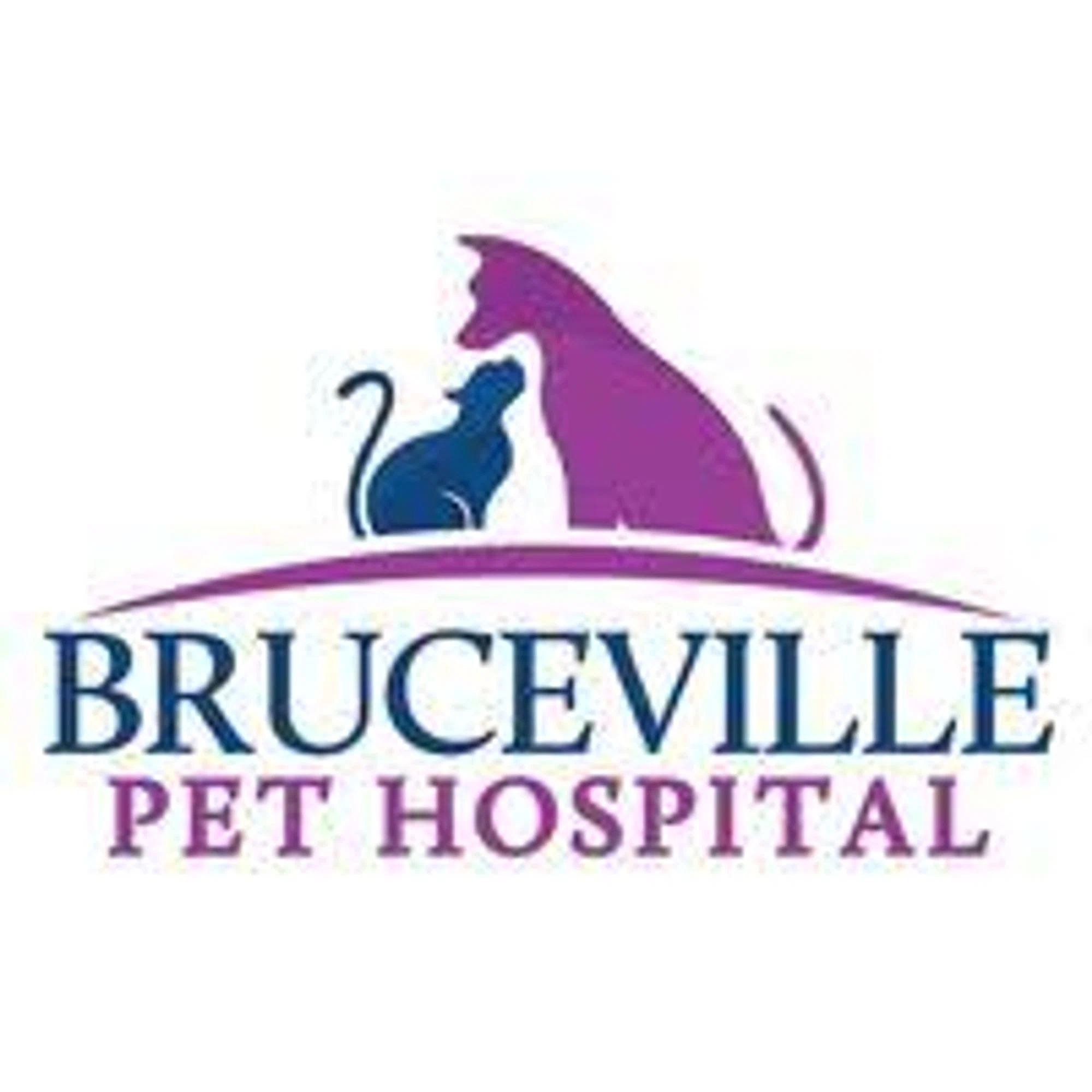 Bruceville Pet Hospital