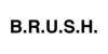 B.R.U.S.H. US