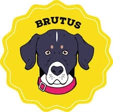 Brutus Broth