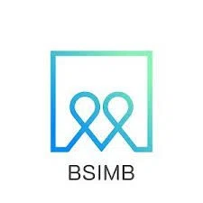 BSIMBFRAMES