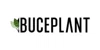 Buce Plant logo