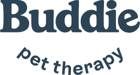 Buddie Therapy Promo Codes