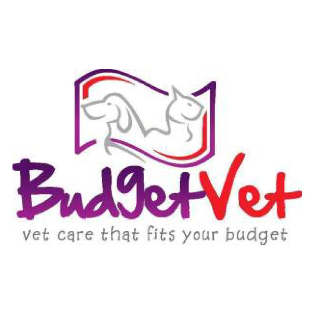 Budget Vet