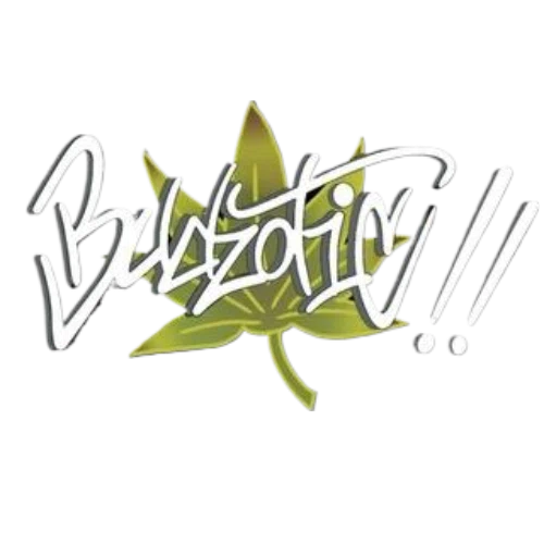 Budzotic
