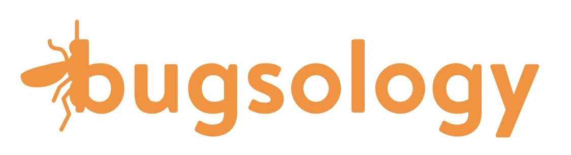 Bugsology