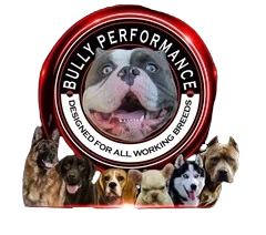 Bully Performance