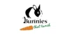 Bunnies That Lunch