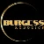 Burgess Robotics