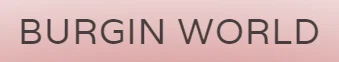BURGIN WORLD