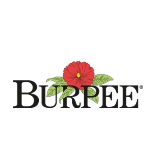 Burpee