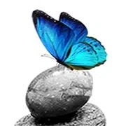 Butterfly Express Quality Essential Oils