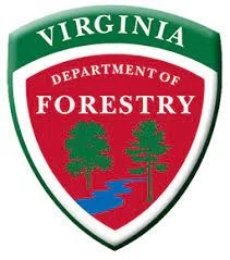 Buy Virginia Trees