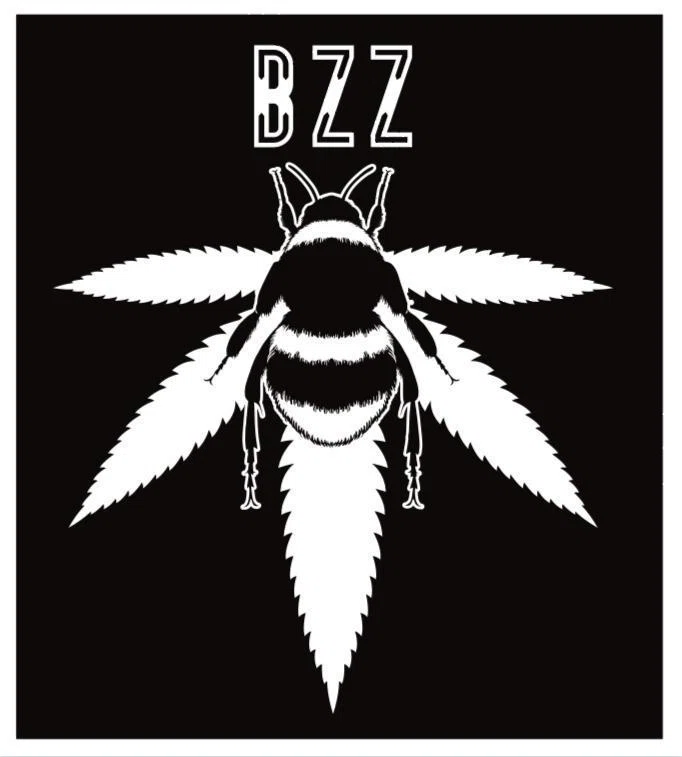 Bzz Box