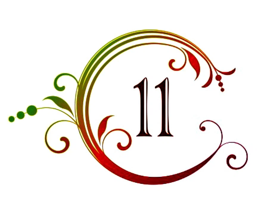 C11 Products