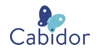 Cabidor By Hingenuity