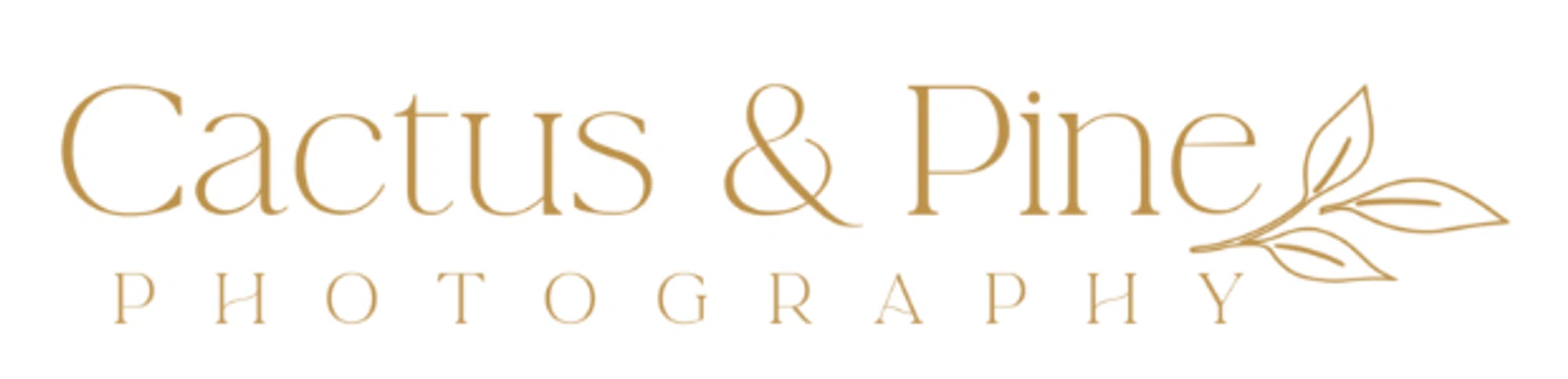 Cactus & Pine Photography