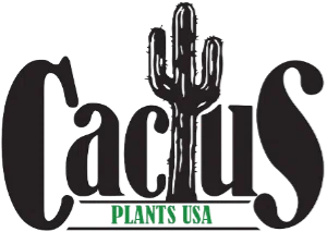 Cactus Plants USA