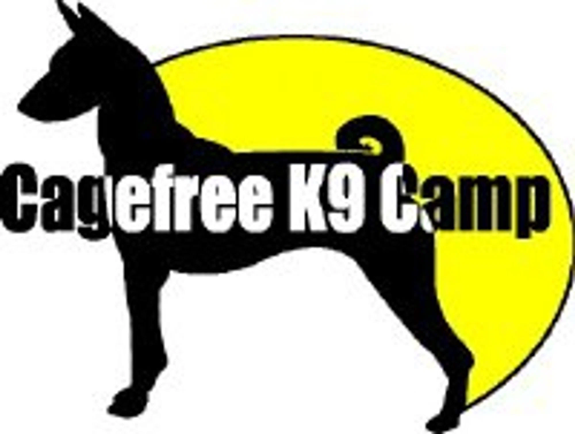 CageFree K9 Camp