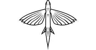 California Flyer