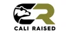 Cali Raised LED