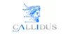 CallidusAI