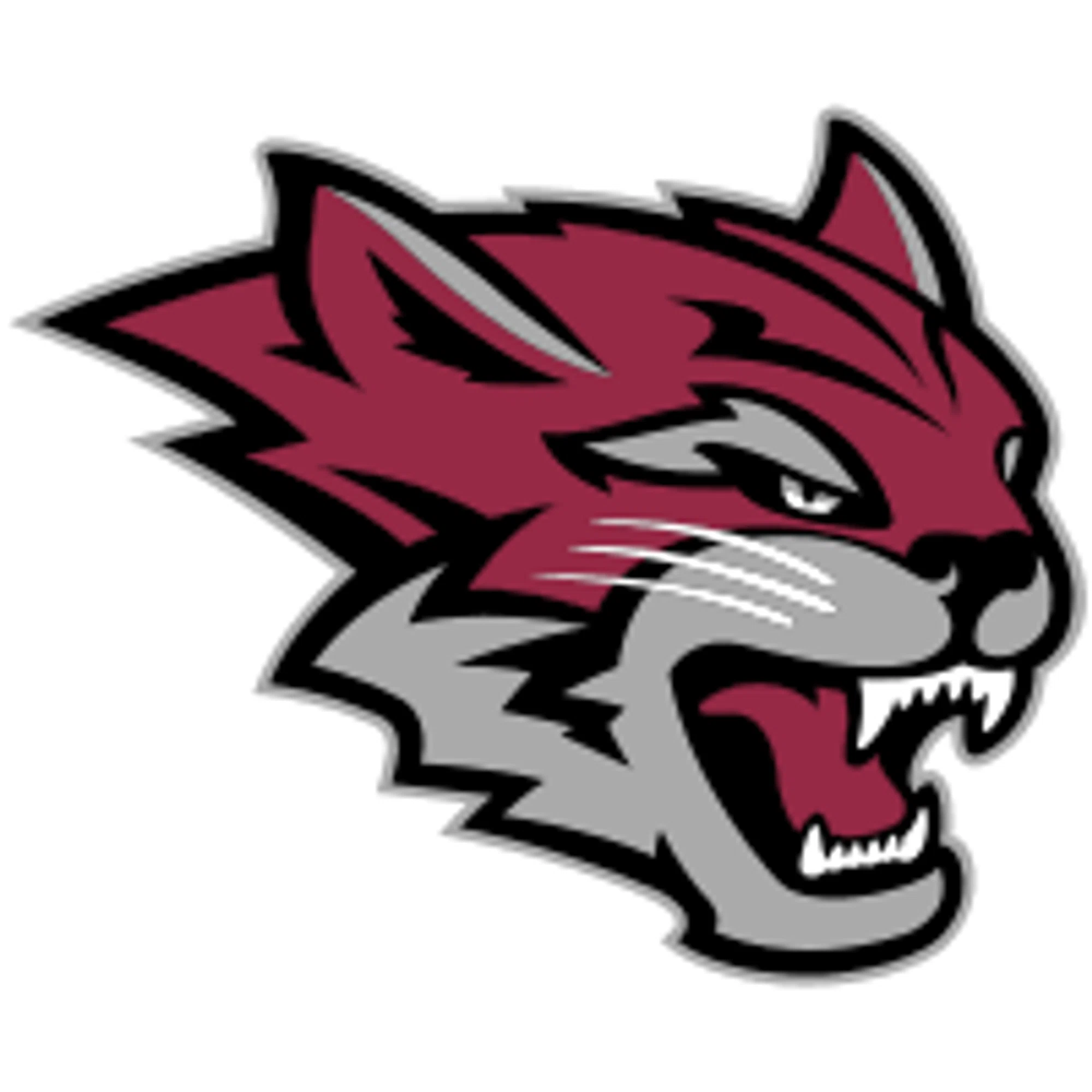 Cal State Chico Wildcats