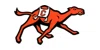 Campbell Fighting Camels Coupons Campbell Fighting Camels Coupons and Promo Code
