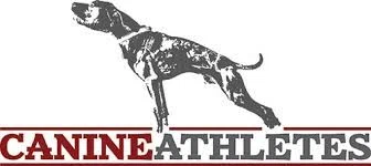 Canine Athletes