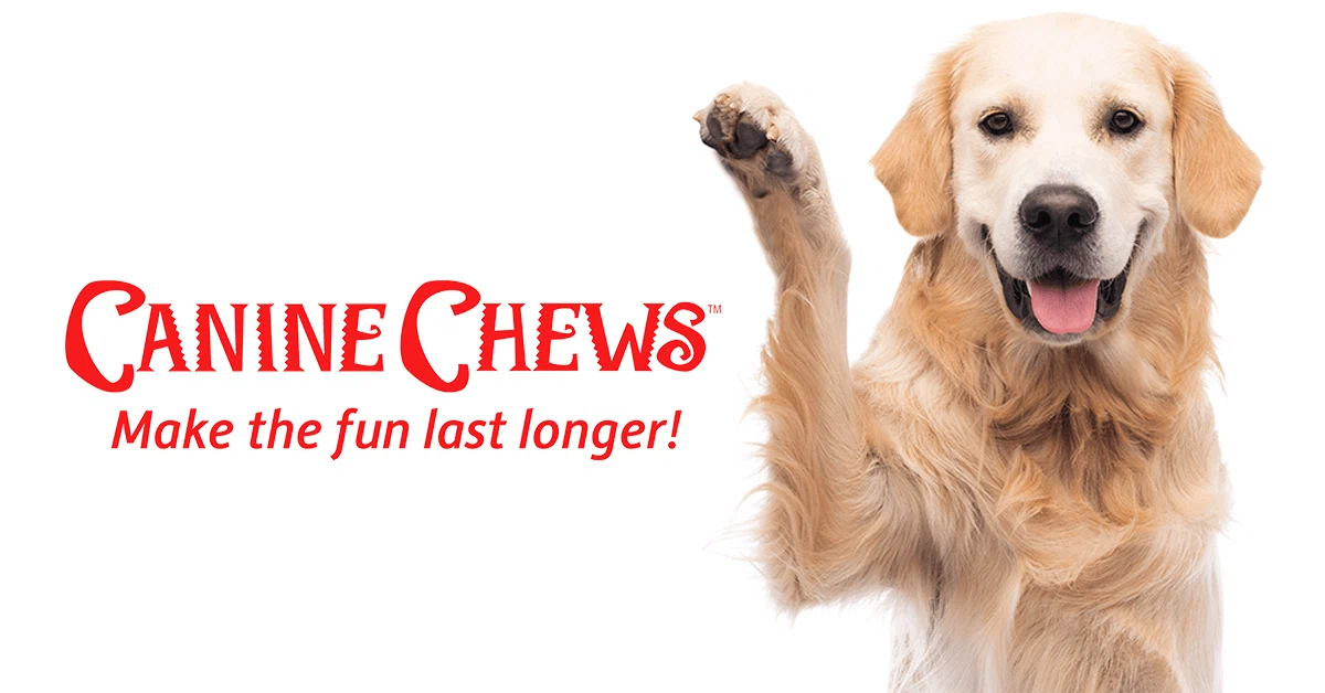 Canine Chews