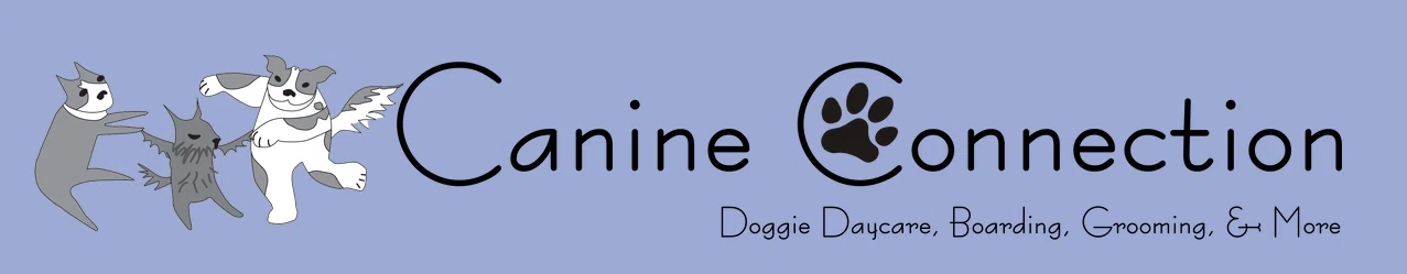 Canine Connection
