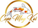 Cape May Koi