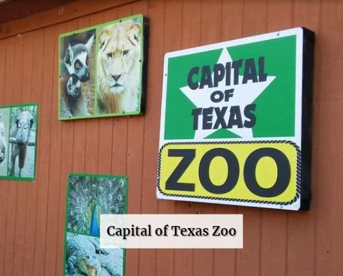 Capital of Texas Zoo
