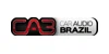 Car Audio Brazil