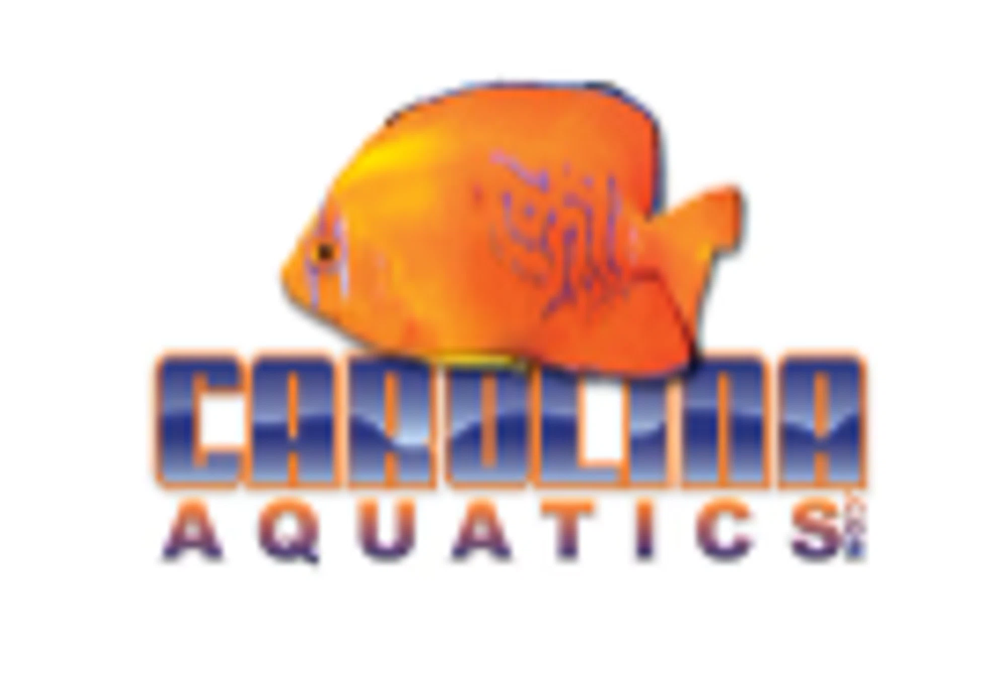 Carolina Aquatics