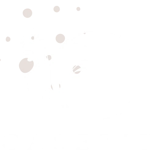 Casezie