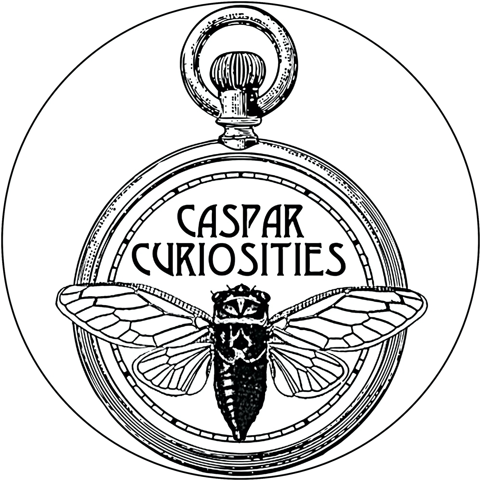 Caspar Curiosities