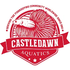 Castle Dawn Aquatics